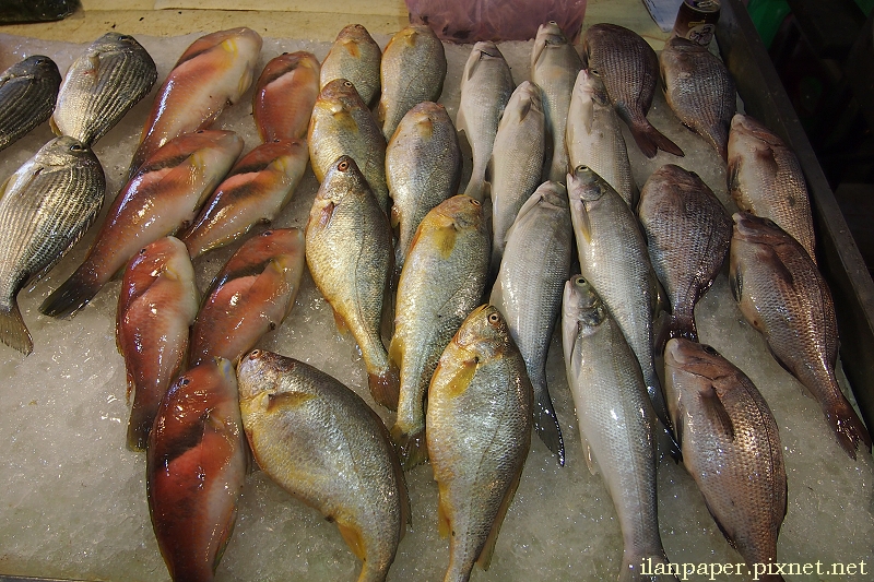 蘇澳 南方澳漁市場
