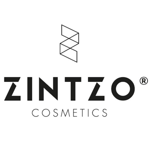 Zintzo logo