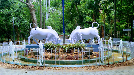 Botanical Garden, Marimalai Adigal Salai, Near Anna Statue, Orleanpet, Ambedkar Nagar, Orleanpet, Puducherry, 605001, India, Botanical_Garden, state PY