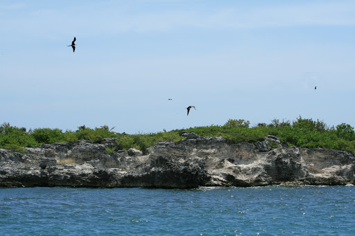 Isla Contoy