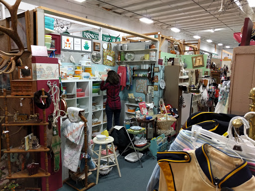 Brass Armadillo Antique Mall