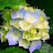 Mark Trappett avatar image
