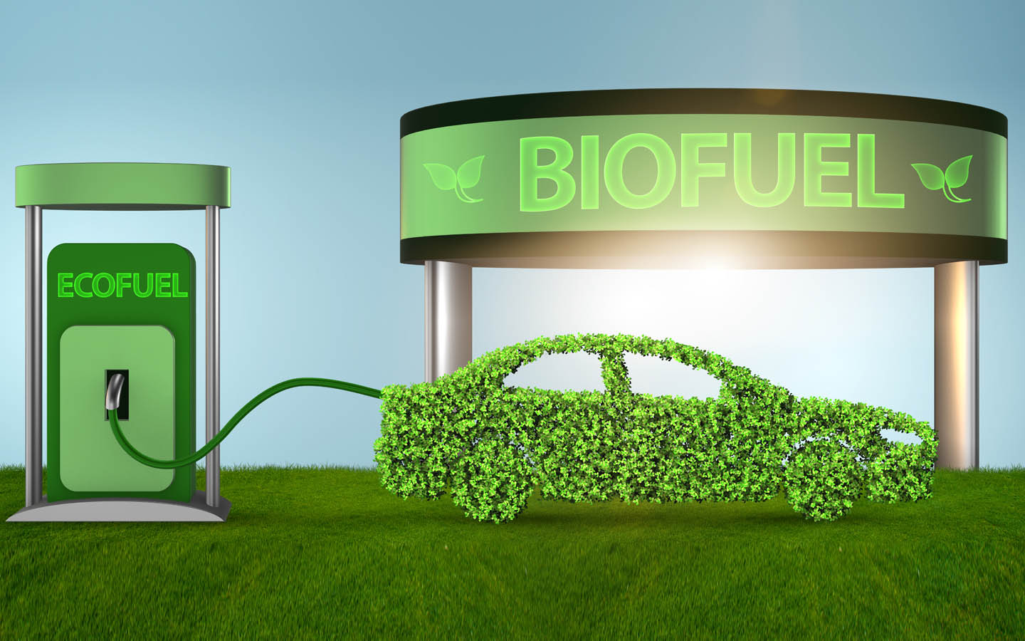 biofuel powered car