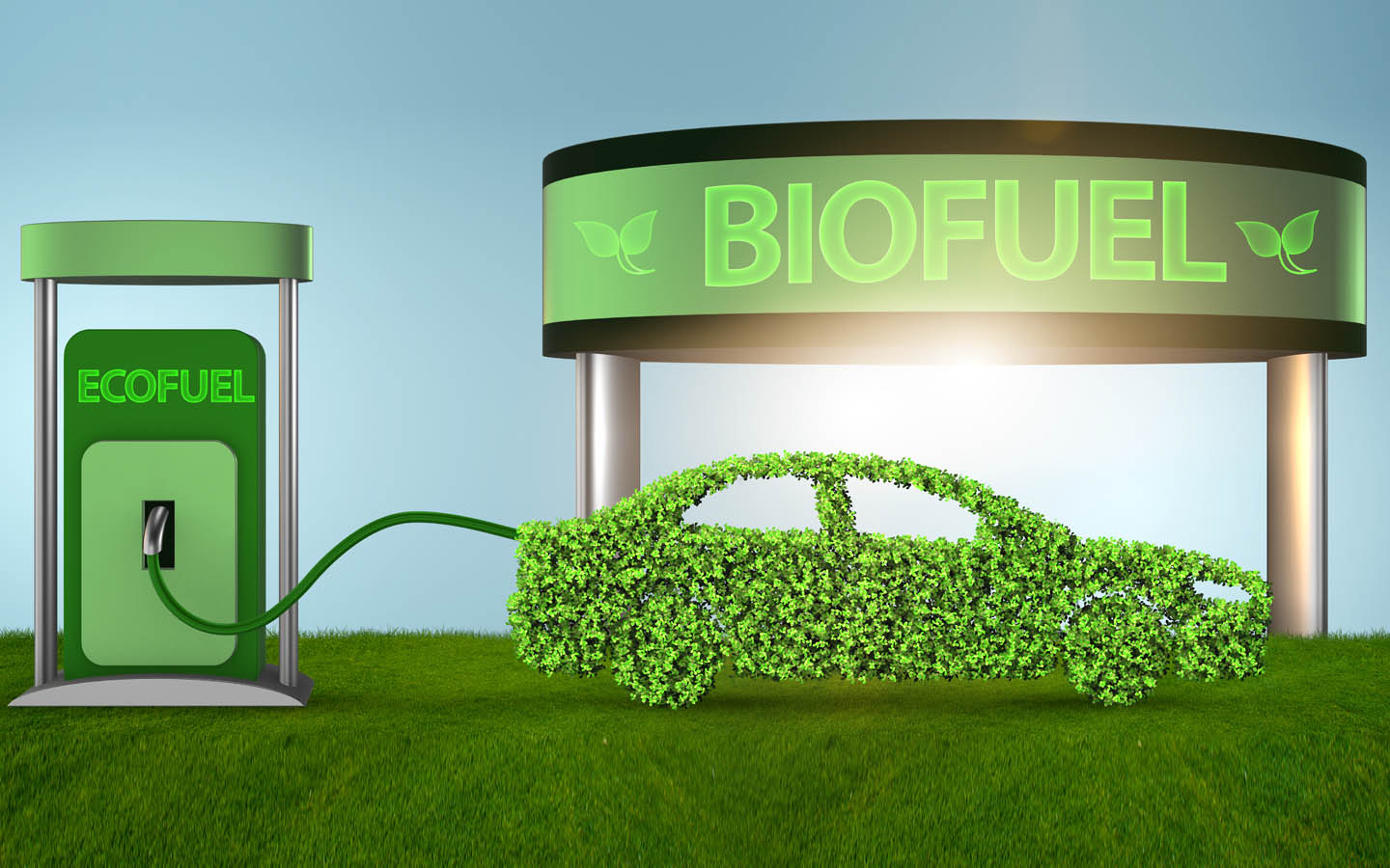 Biofuels vs Fossil Fuels Avantages, Disadvantages and More