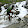 Kiran Nimmagadda Kiran Nimmagadda's profile photo