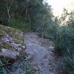 Track below Martins Lookout (74328)