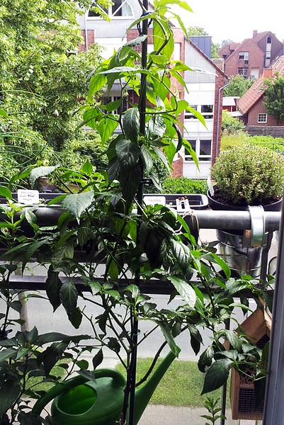 2014-06-04+11.37.16_klein.jpg