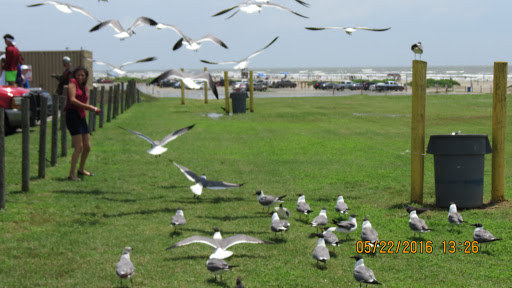 Stewart Beach Park