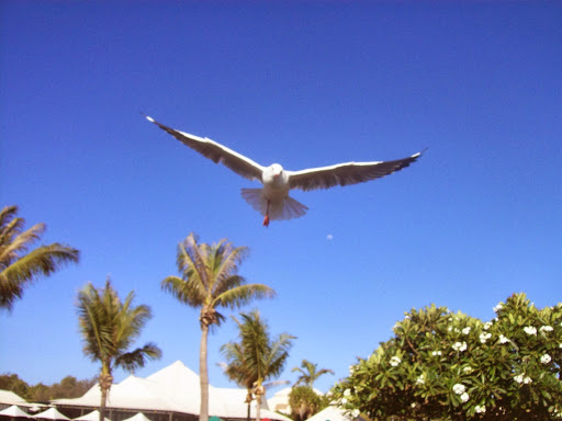 Cable Beach