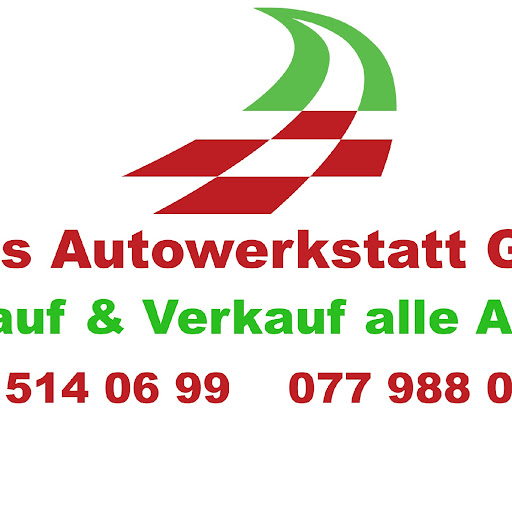 Swiss Autowerkstatt GmbH / ankauf & Vekauf alle Autos & liwerwagen logo
