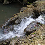 Little waterfall (60395)