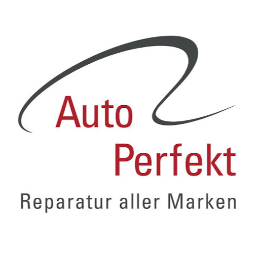 Auto Perfekt logo