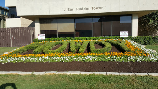 Kyle Field