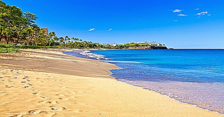 Kaanapali Vacation Rentals  Maui Accommodations Guide