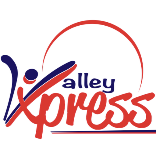 Valley Express Food & Burger logo