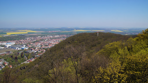 Thale