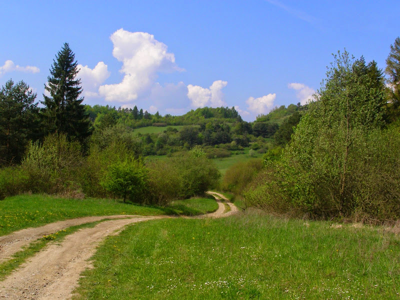 ce2083 - Góry Czerchowskie – wokół Kamienicy