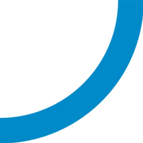 Stiftung Südkurve Lyss logo