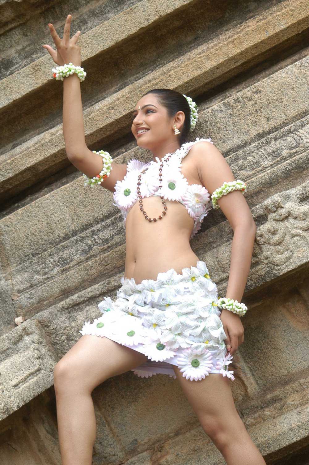 Ragini Kannada Actress Hot Stills - Actress Masala Gallery