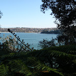 View from Manly Scenic Walk (70363)