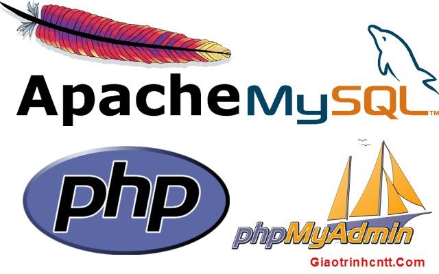 website bán hàng, lập trình web, thiết kế web, lập trình php & mysql, lập trình web php