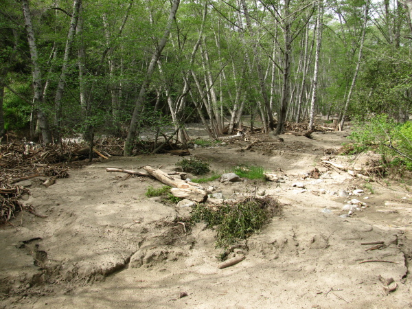 The flood plane of the creek.