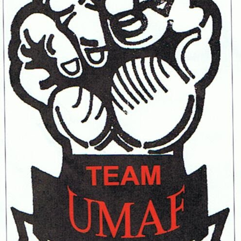 Ultimate Martial Arts Fighting (Team UMAF) logo