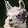 Adrian Abela Adrian Abela's profile photo