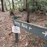 Toomey walk sign (225772)