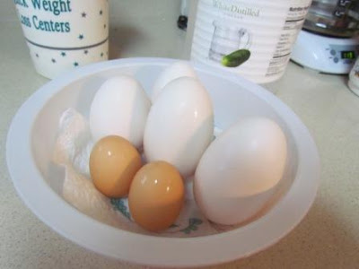 ukrainian egg tutorial