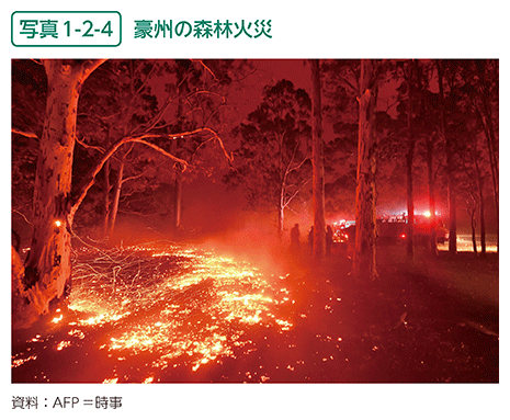 2019年オーストラリアで起こった森林火災