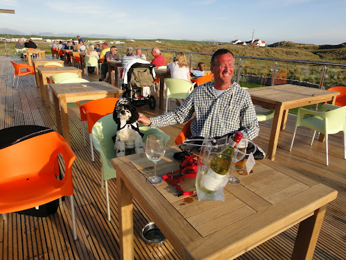 Charlie brown, American cocker spaniel, dining alfresco