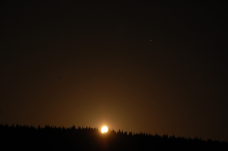 DSC_0370.JPG