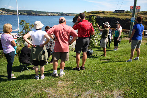 Walking Tours