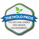 The Mold Pros of Texas