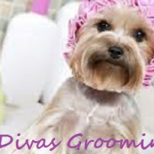 Doggie Divas Dog Grooming Salon logo