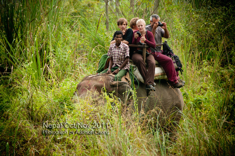 Chitwant Elephant Jungle Trek