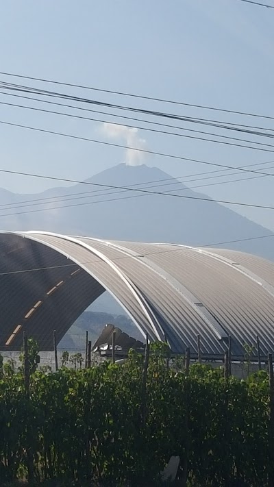 Photos of La Ceiba