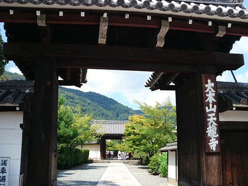 Bamboo Forest 嵐山竹林