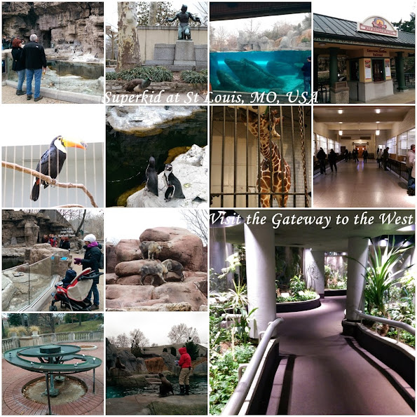 聖路易動物園,一起來看動物吧! 聖路易動物園,一起來看動物吧!