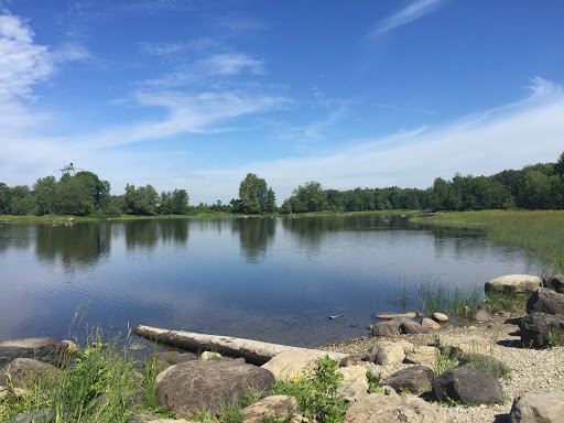 Fitzroy Provincial Park
