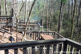 Unicoi State Park, Georgia