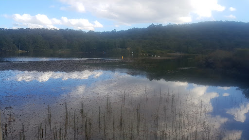 Manly Dam