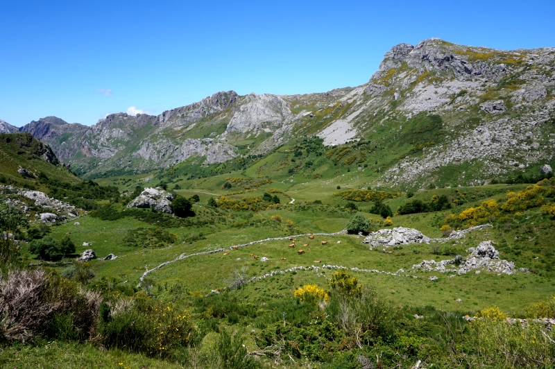 Lago del Valle (PN Somiedo) - Descubriendo Asturias (20)