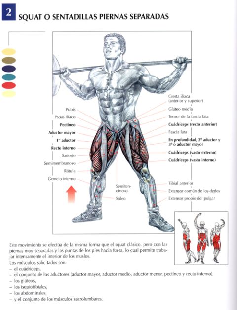 rutina para volumen cuadriceps