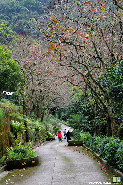 這景色滿有東洋味