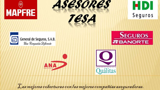 Asesores TESA, Av. Miguel Hidalgo 1116, Obrera, 94745 Cd Mendoza, Ver., México, Compañía de seguros | VER