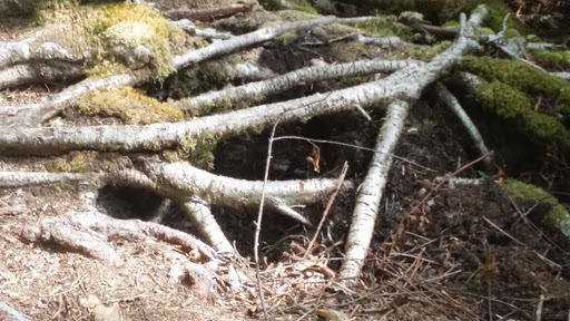 Réserve Naturelle de l'Étang du Cousseau