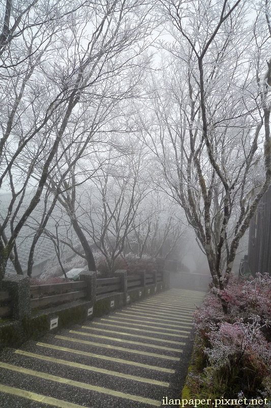 太平山的冰凍世界 冰霰 霧淞 霧淞