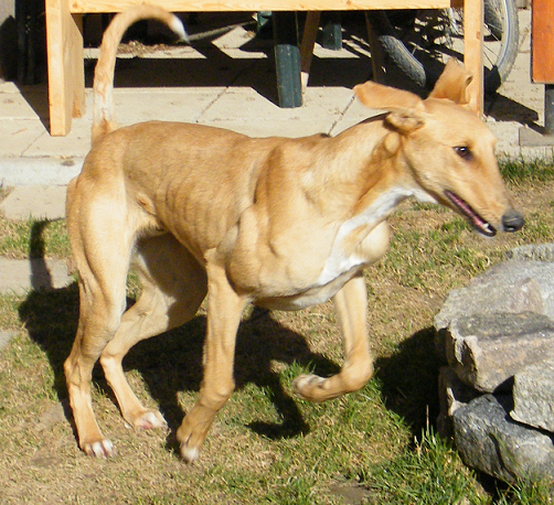 2011_0315hunor0200.PNG